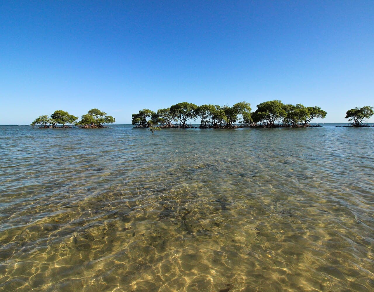 Boipeba