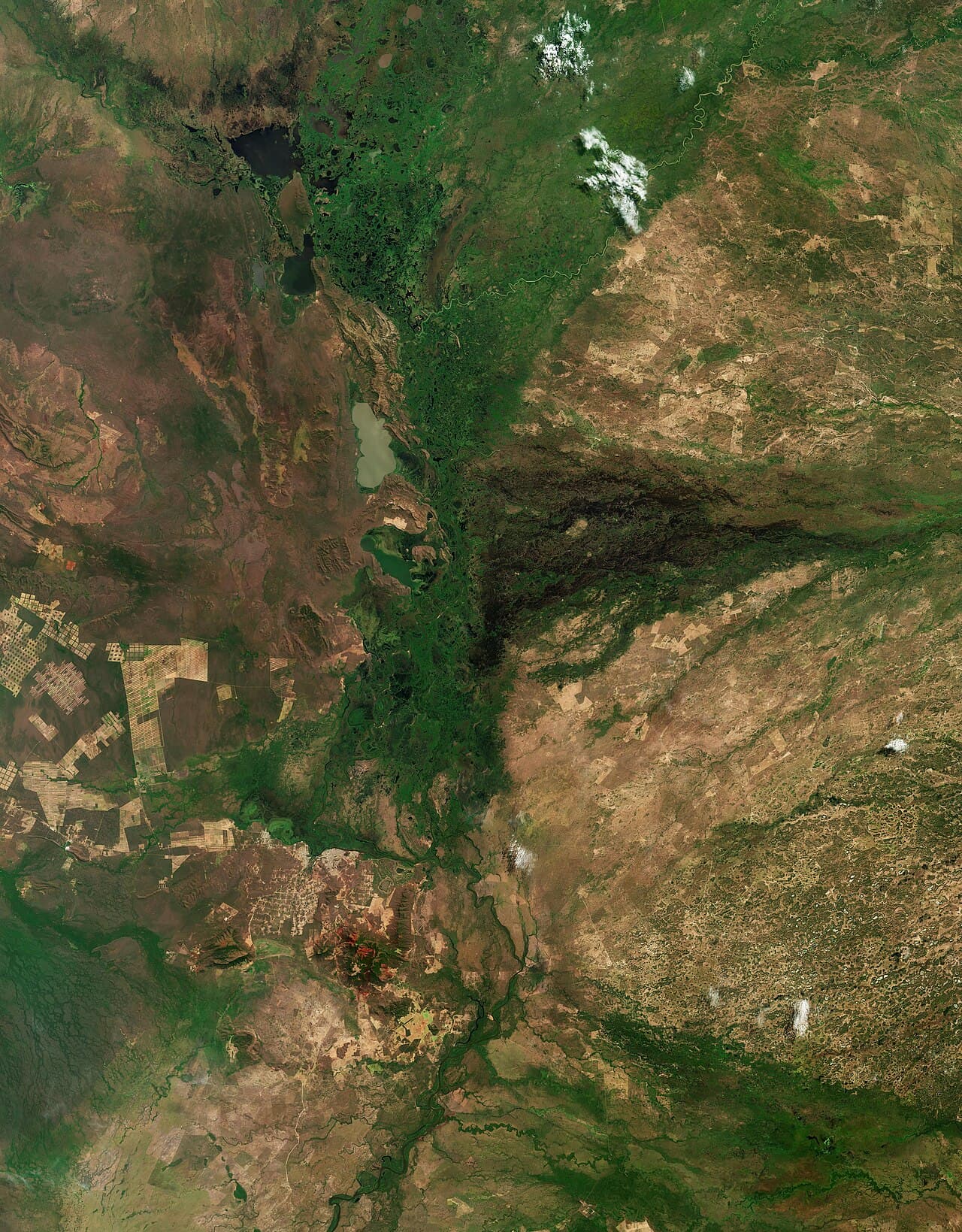 Pantanal